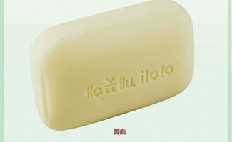 出口韓國日用品市場概況 報價趨勢與優質廠家推薦